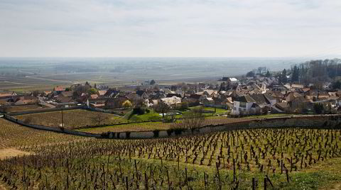 Bak muren ligger vinmarken Clos des Ducs og eiendommen Marquis d'Angerville.