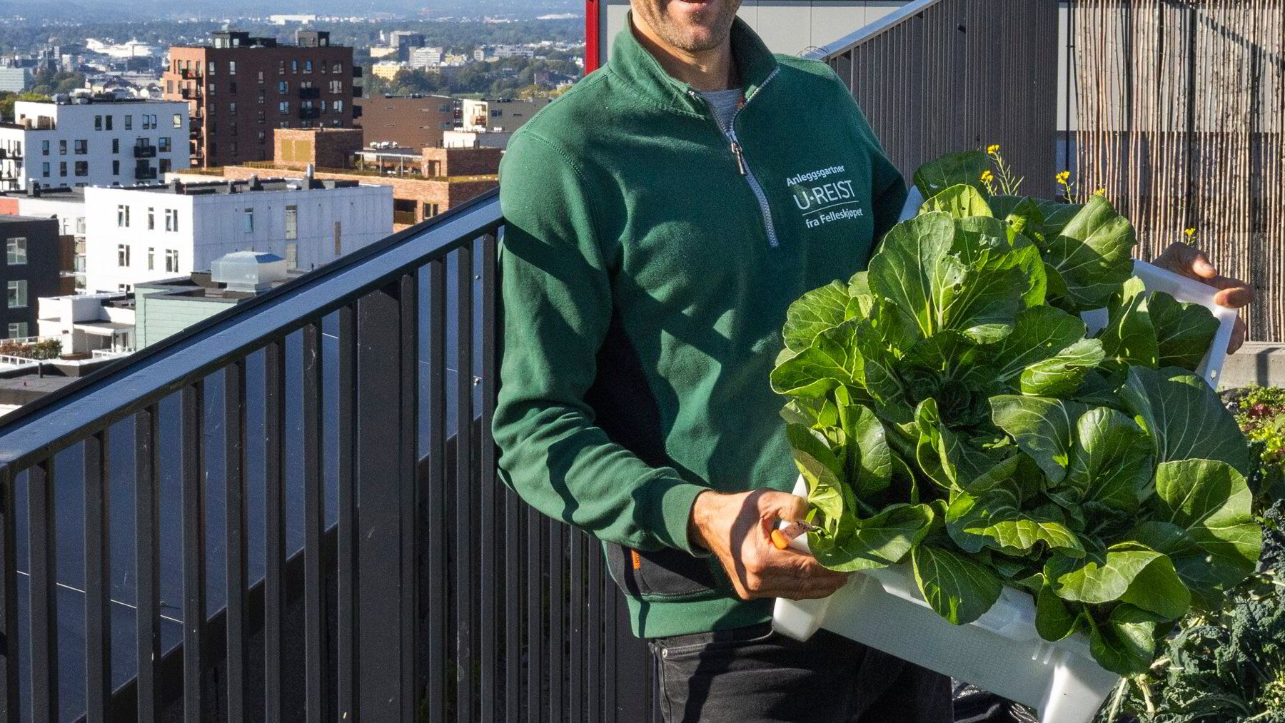 Bybonde skaper oaser på Oslos tak: – Vi har truffet en nerve
