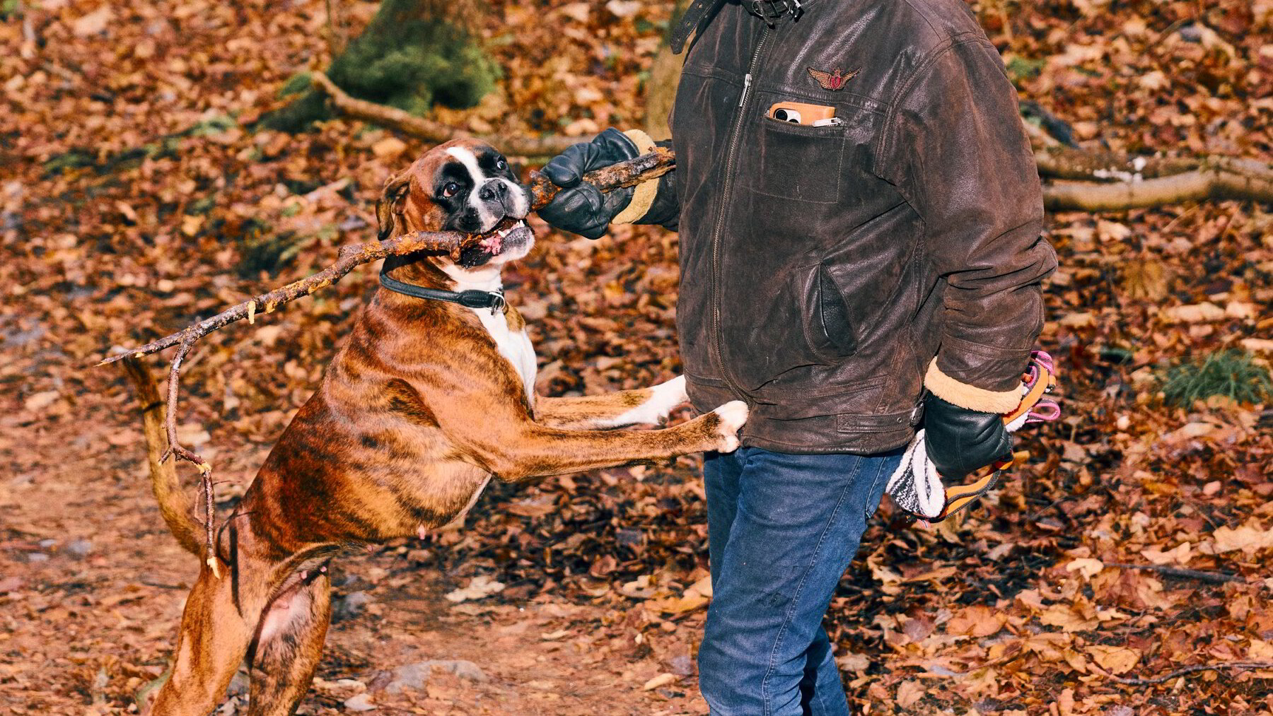 Johannes Joner kan ikke gå på rødt lys