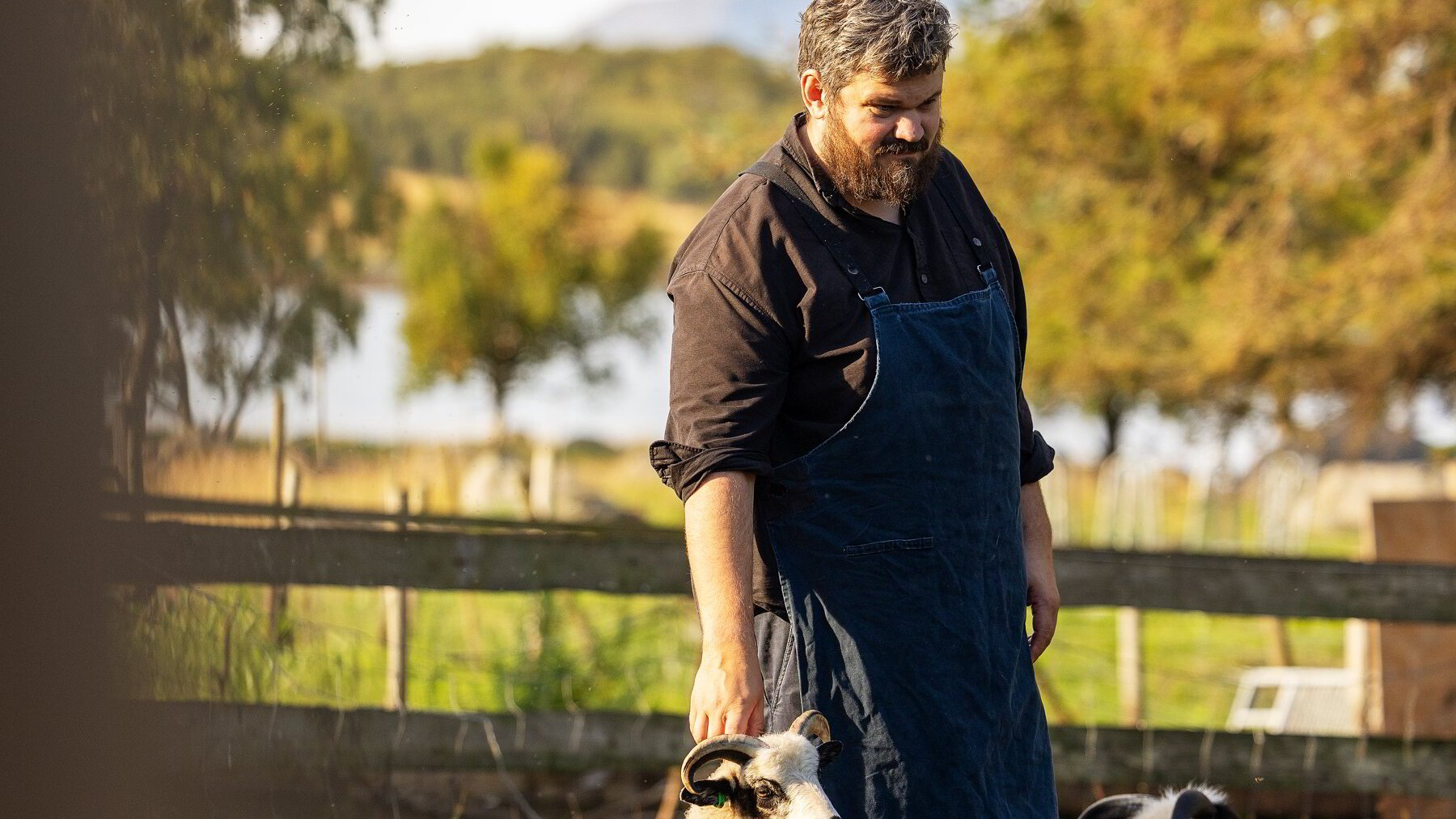 – Vi har klappet og kost med alle dyrene vi serverer i restauranten
