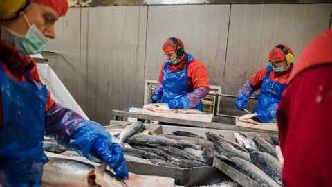 Hvis norske arbeidstimer ikke produserer like mye som før, sammenlignet med andre, er vi blitt relativt fattigere. Det gjenspeiles i kronekursen, skriver Torfinn Harding. Illustrasjonsfoto.