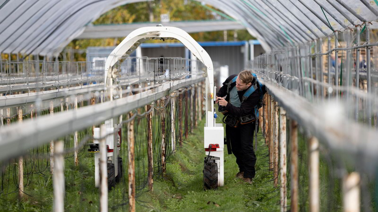 Slik kan Norge løse mangelen på arbeidskraft