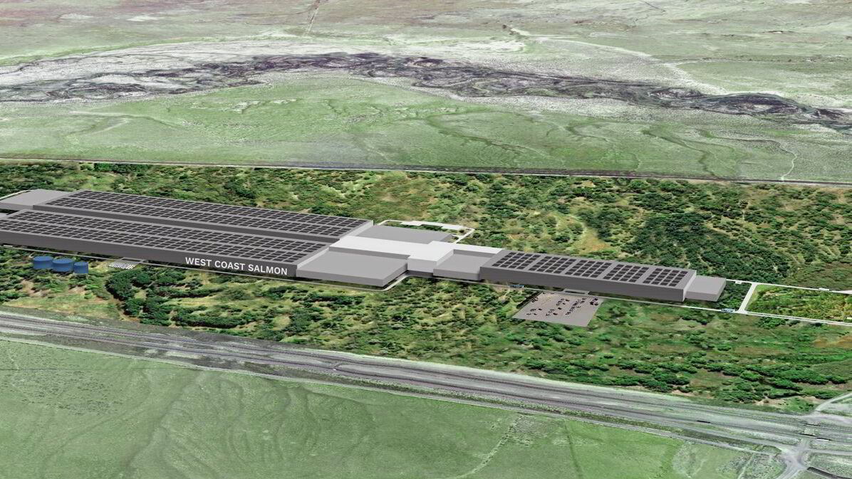 Norsk laksedrøm i USA konkurs