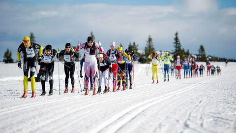 Birkebeinerrennet opplever ikke samme trykket som inntil 2014 lenger. Nå er antallet deltagere på nivå med rennene tidligere på 2000-tallet. Foto: Jon Olav Nesvold/