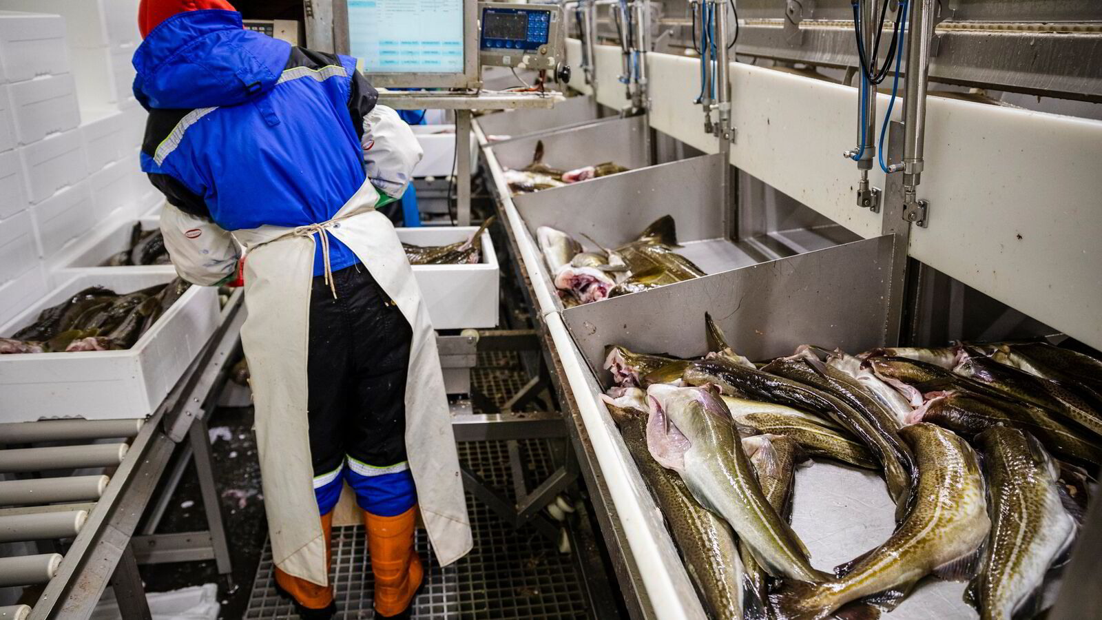 Forsvarer i fiskerisaken: – Den strengeste reaksjonen man kan få