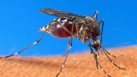 Ekspertene frykter at multiresistent malaria som nå sprer seg i Sørøst-Asia skal spre seg videre til Afrika.