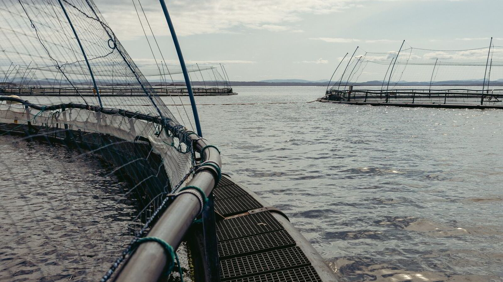 Urimelig å stenge studenter ute fra merdene