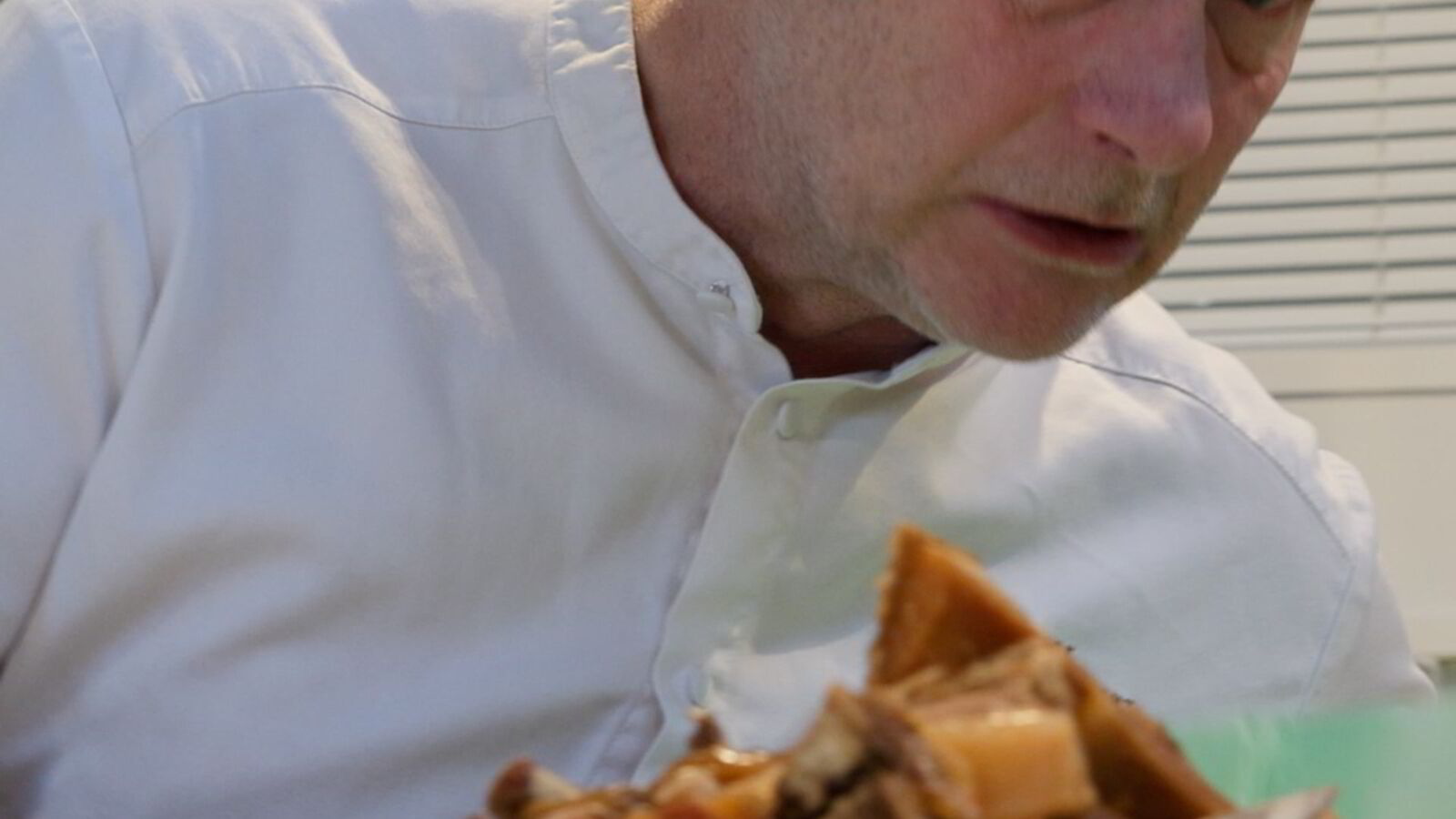 Ville du taklet å smake 47 varianter pinnekjøtt? Bli med på tidenes største test