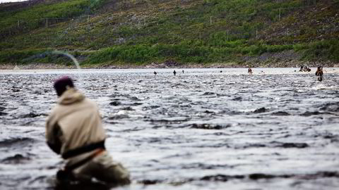 ENDELIG KUTT. Etter mange år med forhandlinger - og kraftig nedadgående bestand av villaks - ble avtalen mellom norske og finske myndigheteter om fiskekutt i Tana fredag velsignet av regjeringen i statsråd. Foto: