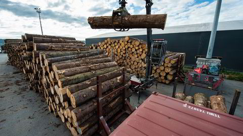 Fra Drammens havn skipes tømmer til Kina. Foto: Greencarrier