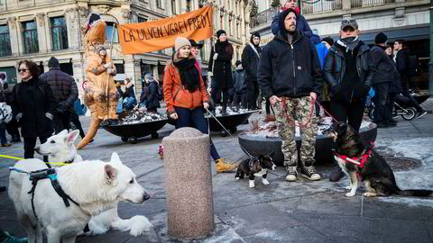 Turtøyprodusenten Stormberg svarer på trusler om boikott fra ulvemotstandere med å gi pengestøtte til tilhengerne av ulv. Her fra en demonstrasjon i helgen foran Stortinget for bevaring av ulv og andre rovdyr.