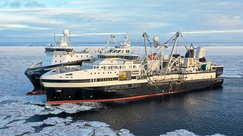 Aker Biomarine er den største aktøren på fangst av krepsdyret krill i Sørishavet. Selskapet har tre fangsfartøy, blant annet denne båten, «Antarctic Endurance».