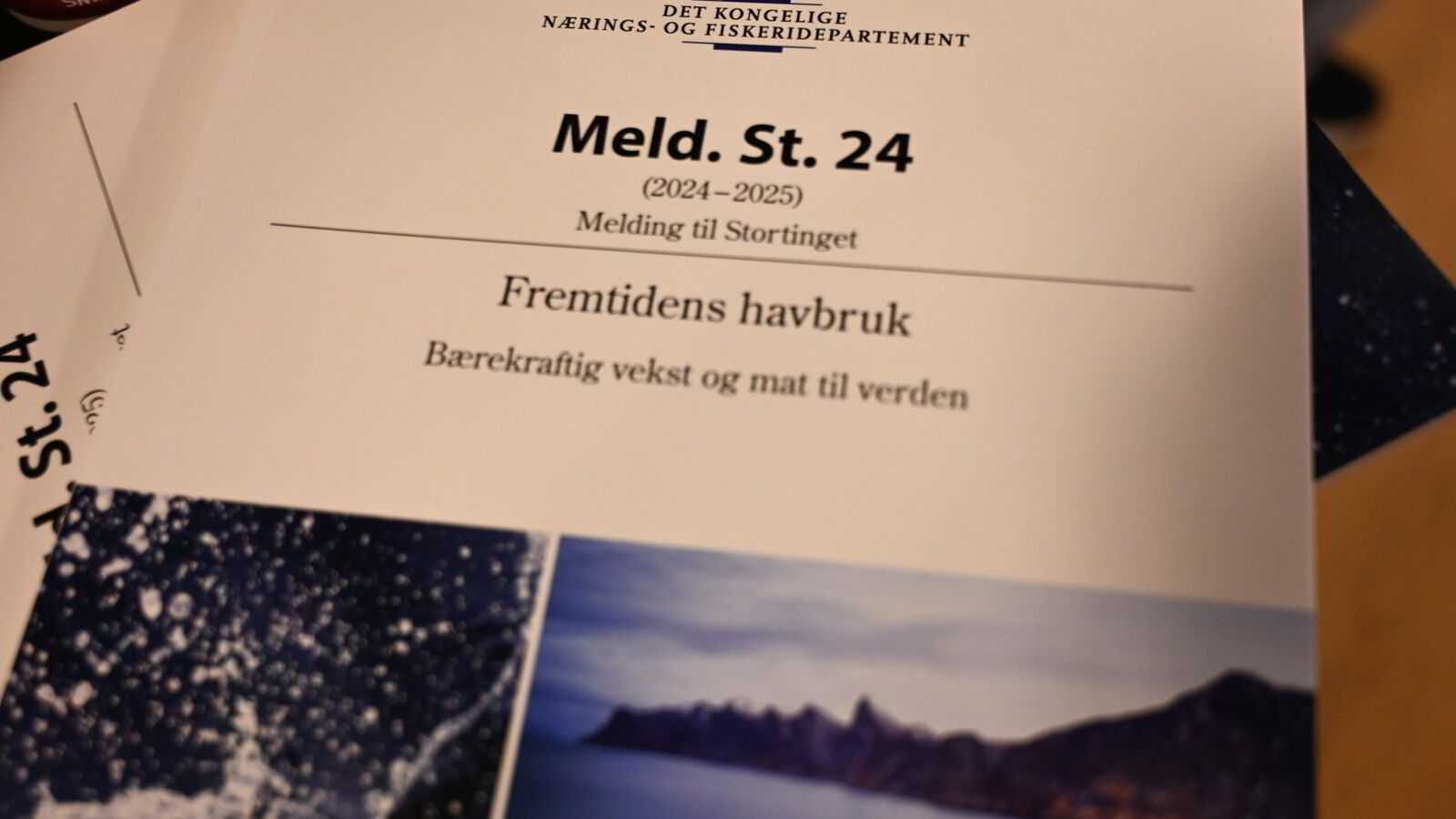 Havbruksmeldingen: Dette er partiene enige om