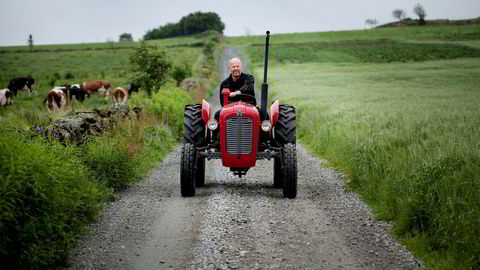 Bjørn Rygg durer over gamle tomter på en av sine klassiske Massey Ferguson-traktorer. Traktorverkstedet han startet som 21-åring var utgangspunktet for det omfattende konsernet BR Industrier.