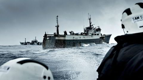 Den norskbygde tråleren «Thunder» jages av Sea Shepard-skuten «Bob Barker». Foto: Simon Ager, Sea Shepard