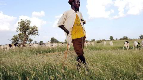 Dersom nedbørsmengdene går ned, vil selvfølgelig ørkenen spre seg. De fleste modeller sier imidlertid at det på sikt vil kunne bli mer, men også mer konsentrert, nedbør i Sahel. Foto: AFP/Seyllou