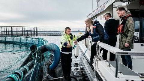 Driftsleder Knut Are Johansen tar imot Julie Døvle Johansen, rådgiver i WWF på Marine Harvest sitt anlegg på Finnøy utenfor Stavanger. Kommunikasjonssjef Ola Helge Hjetland i Marine Harvest til høyre. Her på dette anlegget produseres det mer mat enn hele sauenæringen i Rogaland gjør til sammen.