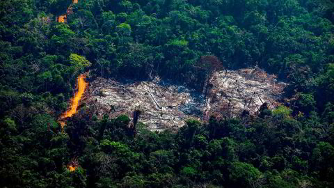 Norge fører en aktiv politikk for å påvirke Brasil til å endre den kursen landet nå har lagt seg på, både gjennom regnskogssamarbeidet, i samarbeid med andre land og sammen med internasjonale organisasjoner, skriver artikkelforfatteren.
