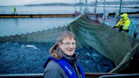 Inge Berg, eier og administrerende direktør i Nordlaks-konsernet, får mer enn doblet antall utviklingskonsesjoner for realisering av havmerd-prosjektet sitt.