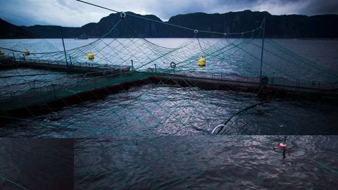 Et oppdrettsanlegg tilhørende Marine Harvest, Flekkefjord. Foto: Sondre Steen Holvik