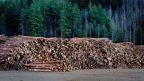 Vi kan sammenligne skogen med en «energibank» hvor det årlig gjøres innskudd av CO 2 og energi. Når vi feller et tre, tar vi i CO 2 – regnskapet ut karbonet fra «banken» og fører det opp som et CO 2 utslipp. Netto innskudd vil være forskjellen mellom årlig tilvekst og uttak av tømmer.