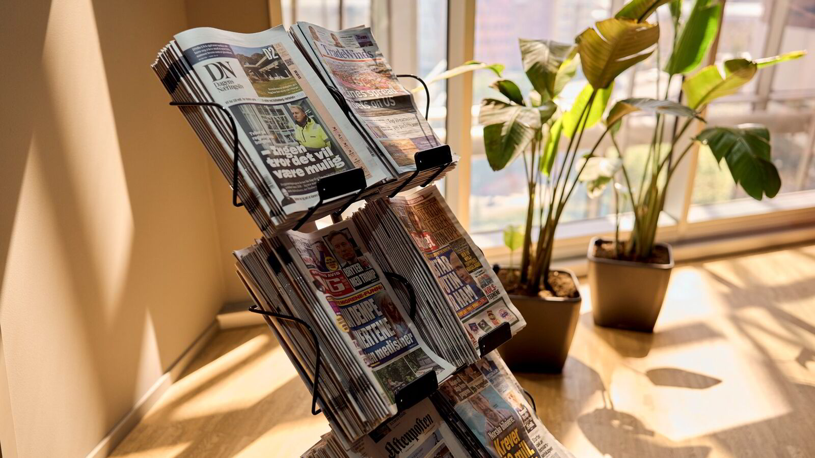 Nei da. Journalister er ingen utrydningstruet art