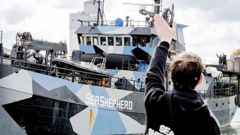 Sea Shepherd-aktivistene på «Bob Barker» har vært på havet siden 3. desember ifjor. Denne uken ble de møtt av Sea Shepherd-tilhengere i Bremen i Tyskland. Alle foto: