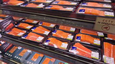 Norsk laks og ørret solgt på en bedre matbutikk i storbyen Johor Bahru (JB), sør i Malaysia i påsken. Prisen lå på rundt 335 kr/kg for fersk, flybåren filet.