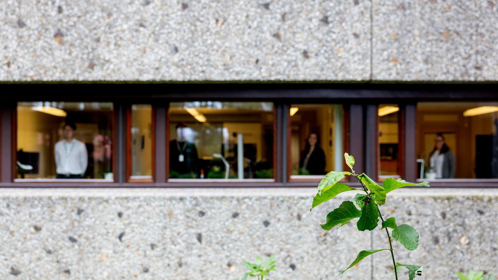 Regelrådet: La vaktbikkja leve