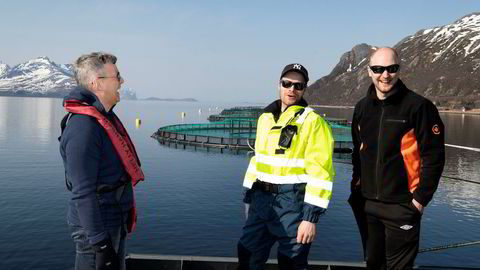 Lille Sjurelv Fiskeoppdrett med åtte ansatte i havgapet utenfor Tromsø er blant verdens meste lønnsomme fiskeoppdrettere. Fra venstre daglig leder Terje Harder Hansen i Sjurelv Fiskeoppdrett, røkter Lasse Hansen og røkter Anders Nysveen.