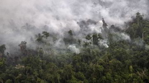 Enorme ulovlig anlagte skogbranner i regnskogen i Indonesia skaper luftforurensning flere steder i Asia. Foto: Regina Safri/Antara Foto/Reuters/NTB scanpix