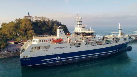 Slaktefartøyet Norwegian Gannet får likevel frakte laks direkte fra norske oppdrettsmerder til Danmark etter en kjennelse fra Bergen tingrett.