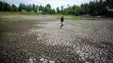 De fleste golfklubbene i Norge har egne vanndammer som de bruker til å vanne. Nøtterøy golfklubb har to, men nå er den ene så å si tom.