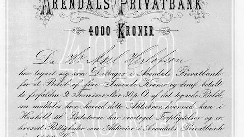 Aksjebrevet i Arendals privatbank fra 1875 er signert banksjef Axel Herlofson og Th. Heftye og har en utropspris på auksjonen på 10.000 kroner