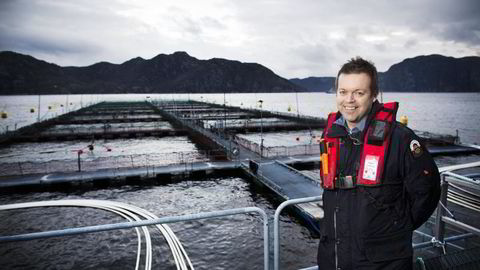 Konsernsjef Alf-Helge Aarskog i Marine Harvest. Foto: Sondre Steen Holvik