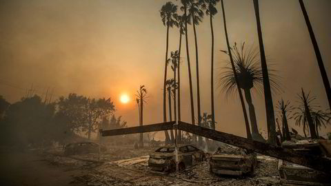 Mange steder i verden har vært rammet av hetebølger og voldsomme skogbranner i sommer. Bildet er fra skogbrannen i Ventura i California.