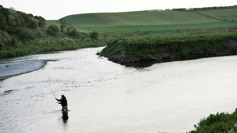 Villaksfangstene i de skotske elvene, som her i River Tweed, er rekordlave. Det kan indikere at det blir en dårlig sesong også i Norge.