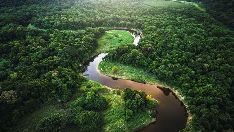 Norske husholdninger er i gjennomsnitt villige til å betale 1100 kroner årlig som en ekstra skatt til staten, øremerket tiltak som vil unngå ytterligere avskoging og artstap i Amazonas innen 2050, skriver artikkelforfatterne.