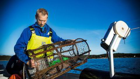 Hummerforsker Alf Ring Kleiven ved Havforskningsinstituttet anbefaler i en rapport nye og langt strengere regler for hummerfisket.