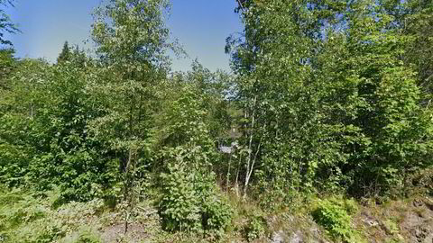 Rødsbakkene 25, Asker, Viken