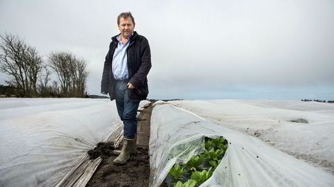 Salatbonde Einar Mikal Hanasand er en av mange aksjonærer som taper på Noreco. Her er Hanasand i åkeren på Randaberg.