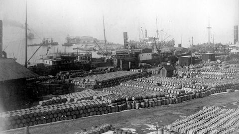 Mot slutten av første verdenskrig sørget regjeringen Gunnar Knudsen for at staten kjøpte opp hele årsfangsten til fiskeriene til garanterte minstepriser. Bildet er fra fiskekaien i Bergen der mye av fisken råtnet bort.