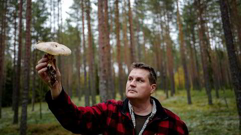 Soppekspert Tommy Østhagen har funnet en sjelden Matsutake-sopp i skogene rundt Elverum.