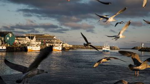 Med forvaltningsregimet i Norge vil imidlertid ikke den bedriftsøkonomiske lønnsomheten på lang sikt øke ved å redusere fiskeinnsatsen. Her fra havnen i Berlevåg og fiskebåten Josberg.