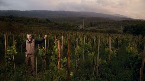 Frank Cornelissen, belgisk vinmaker bosatt ved vulkanen Etna på Sicilia, Italia Foto: Sigurd Fandango