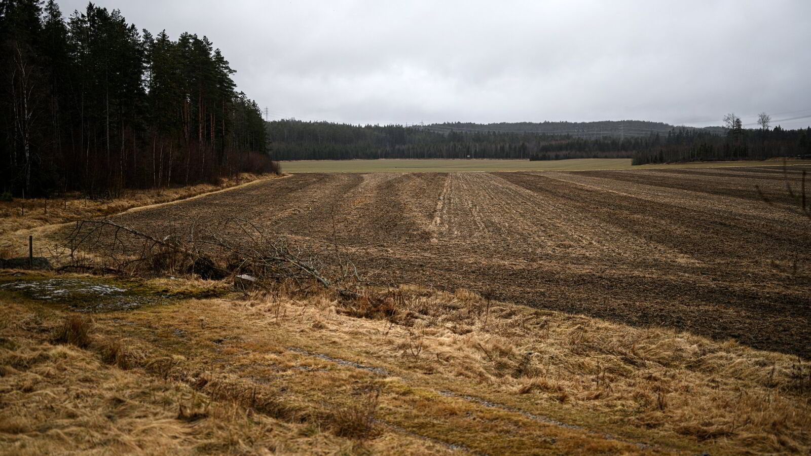 Krig, korn og gjødsel