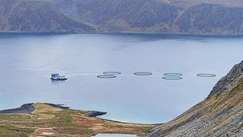 Et av Grieg Seafoods anlegg i Finnmark. Selskapet driver også lakseproduksjon i Rogaland, samt i Canada.