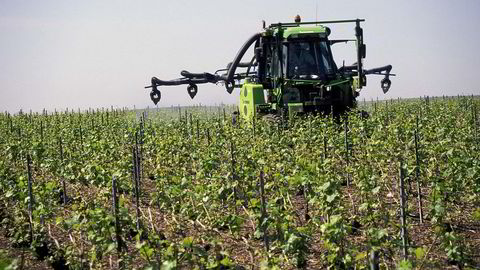 Soppdreper. Traktor sprøyter fungicider på vinplantene. Det tar knekken på sopp. Illustrasjonsfoto: BSIP/UIG/Getty Images