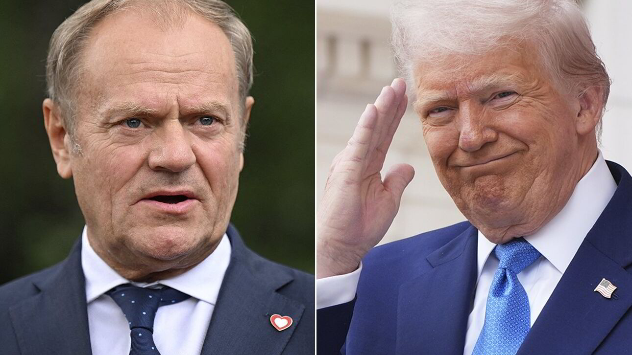 Donald mot Donald