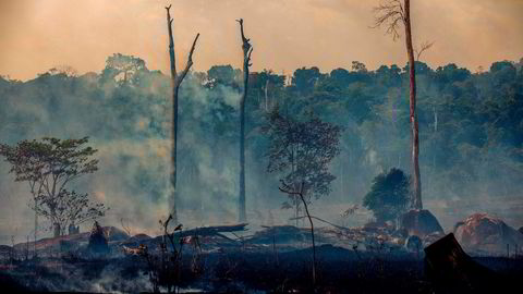 Sterke krefter mener Norge bør presse Brasils president til å verne regnskog ved å utsette ratifisering av avtalen mellom Efta og Mercosur så lenge regnskogen i Amazonas brenner.